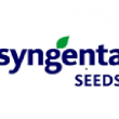 Logo Syngenta