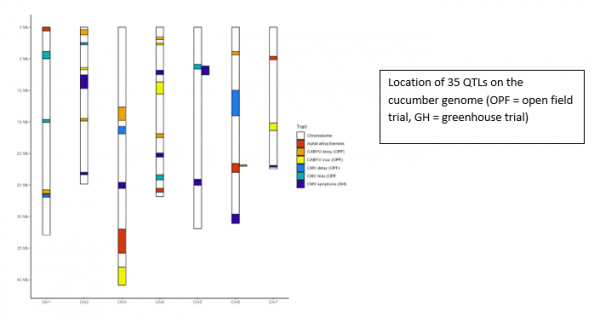 Severine Genome 2